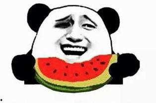 吃瓜看战斗,吃瓜群众视角下的战斗风云录